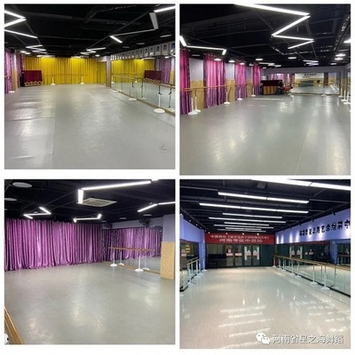 河南省星之海艺术培训中心