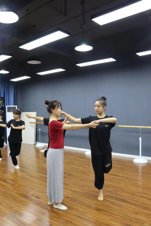 0元免费上艺术课 这家专业的艺考培训中心太火了,播音 编导 表演 形体统统都有