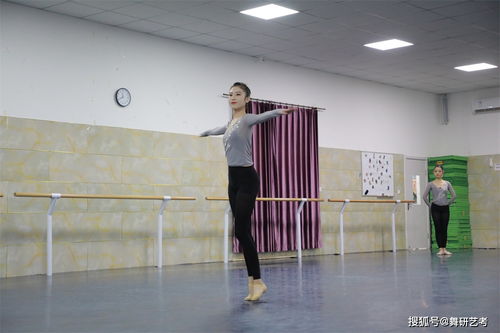 舞蹈学院的招生要求 舞蹈能力 身高 身体比例 文化成绩哪个更重要