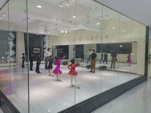 景德镇市曼都舞蹈艺术培训中心乔迁之喜