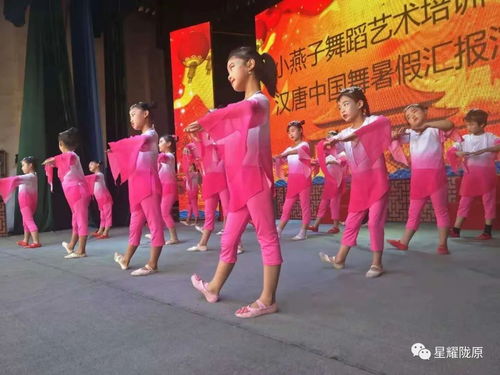 第5届 星耀陇原春晚 绽放 杨家滩小燕子舞蹈艺术培训中心