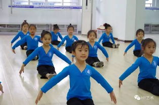 2017年暑期招生开始啦