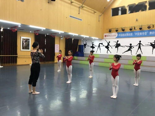 舞韵 专业测评 因为有料,所以敢秀 河南舞韵艺术培训的舞蹈教师秀课啦