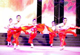 中国少先队事业发展中心社会艺术水平舞蹈考级第487期 教师培训于6月26日 29日将在平顶山 明之星舞蹈学校 举行