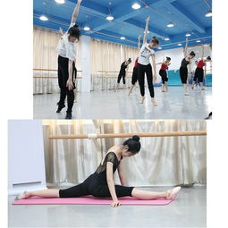 舞蹈艺考生必备三大基本功 | 专业艺考培训解析