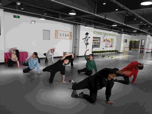 乌鲁木齐舞蹈艺考专业培训班——舞蹈艺考培训中心