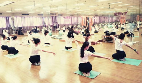 广州专业中国舞系统班 提升技艺，迈向艺术巅峰