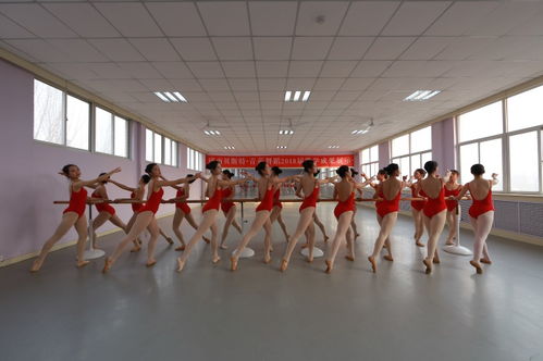 菏泽高考舞蹈艺考培训——青苑艺术用心服务每位追梦学子