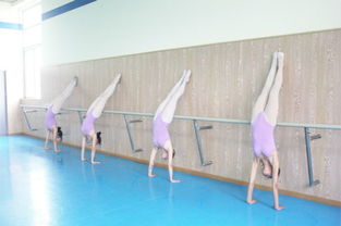 新亚舞蹈专业深度解析与高效备考指南